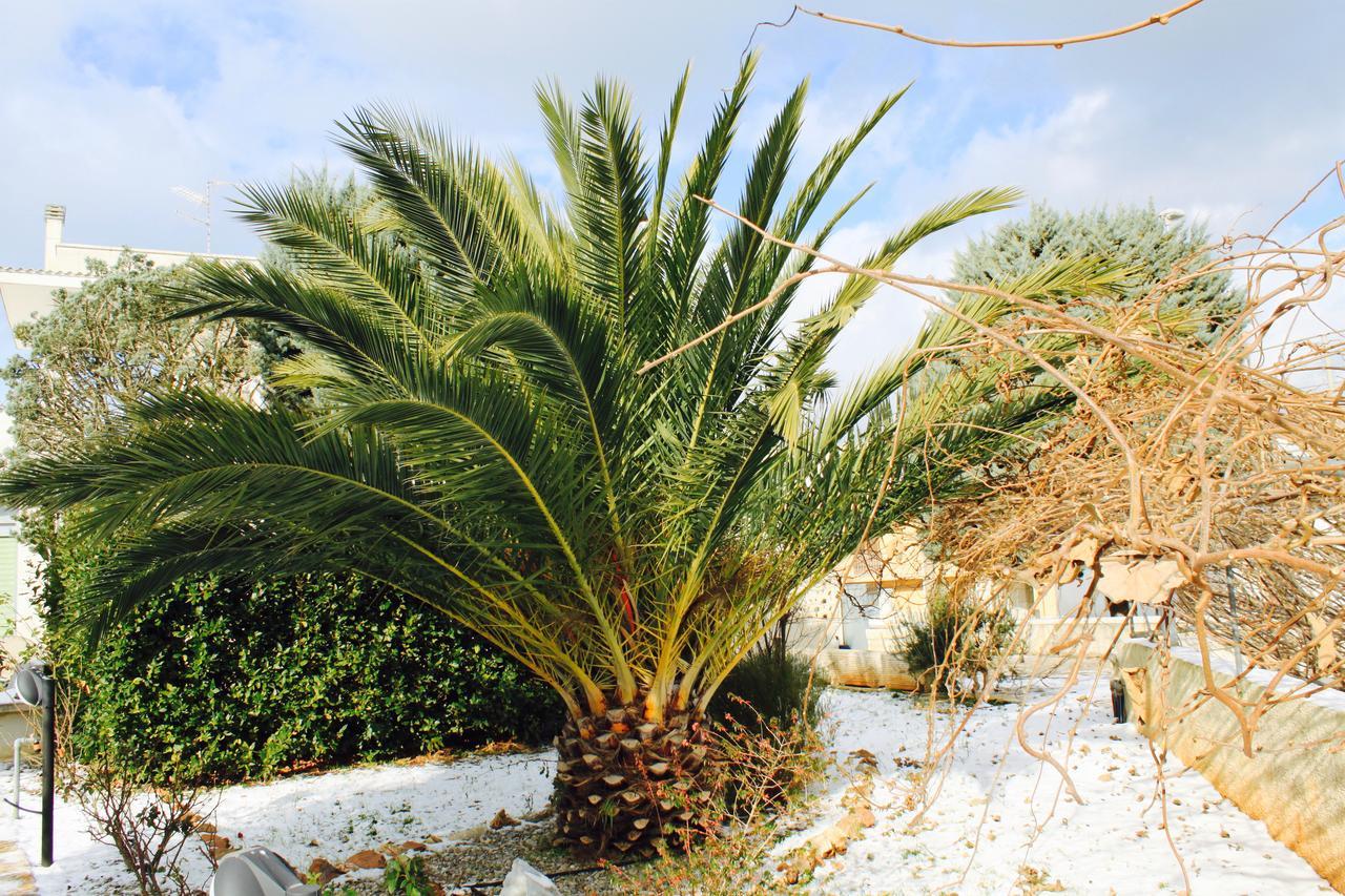 Villa Wonder Alberobello Dış mekan fotoğraf