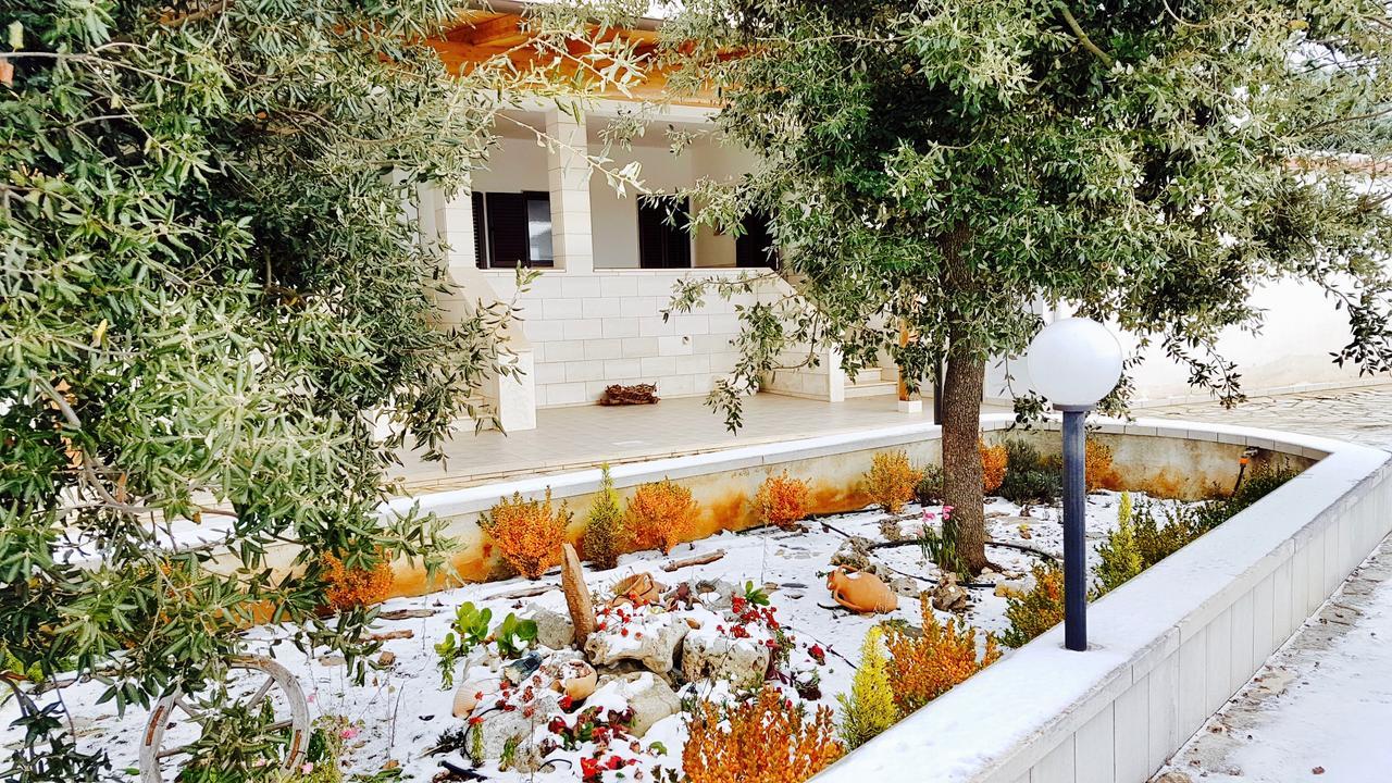 Villa Wonder Alberobello Dış mekan fotoğraf