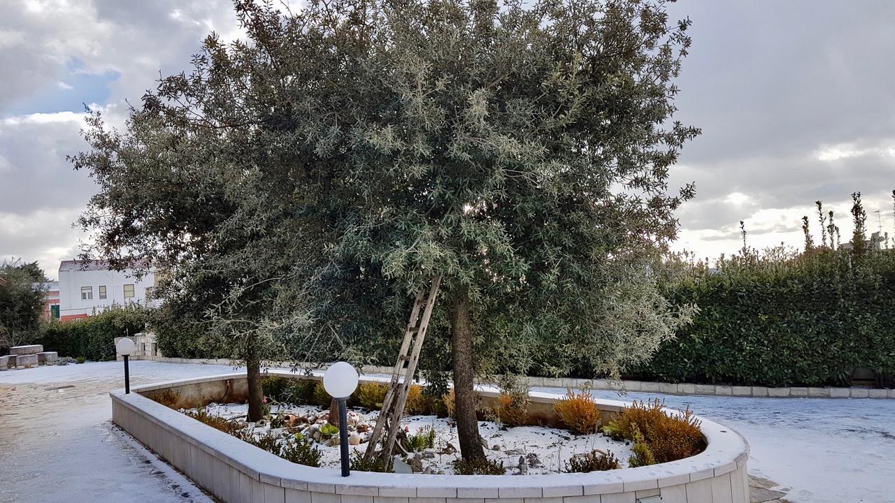 Villa Wonder Alberobello Dış mekan fotoğraf